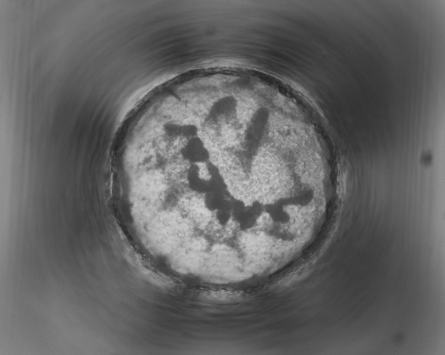 X0000115601117200912221140