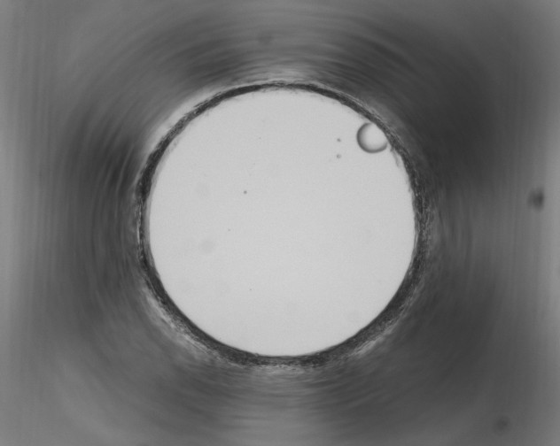 X0000115601118200912221140