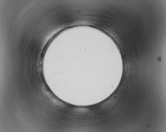 X0000115601119200912221140