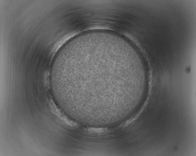 X0000115601121200912221140