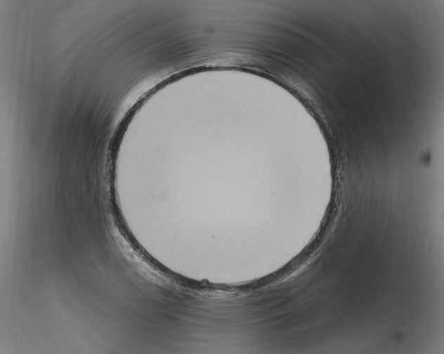 X0000115601122200912221140