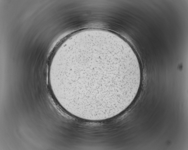 X0000115601123200912221140