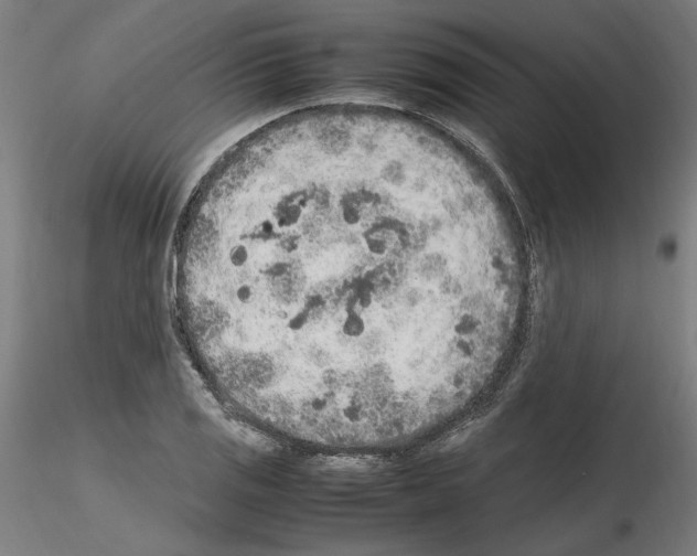 X0000115601125200912221140