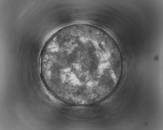 X0000115601127200912221140