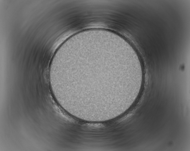 X0000115601129200912221140