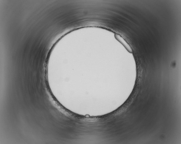 X0000115601134200912221141