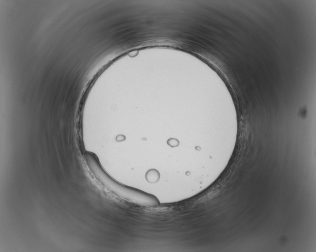 X0000115601135200912221141