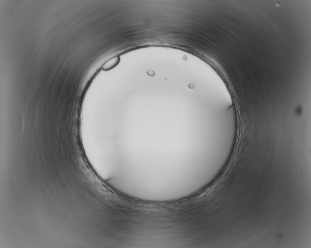 X0000115601138200912221141