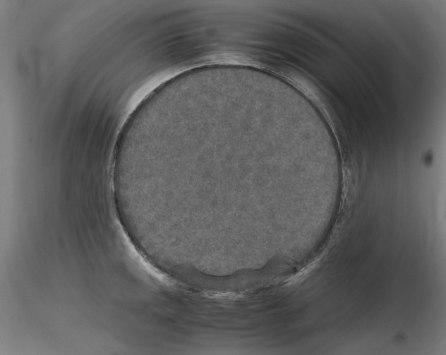 X0000115601141200912221141