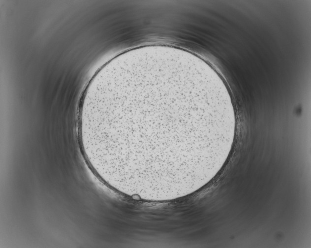 X0000115601143200912221141