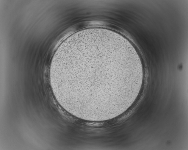 X0000115601145200912221141