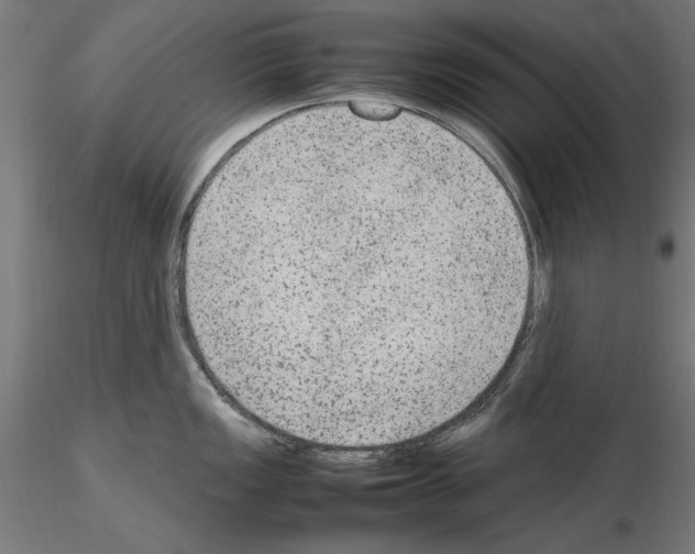 X0000115601149200912221141