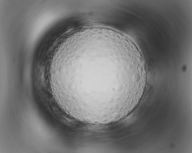 X0000115601150200912221141