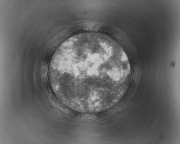 X0000115601154200912221140