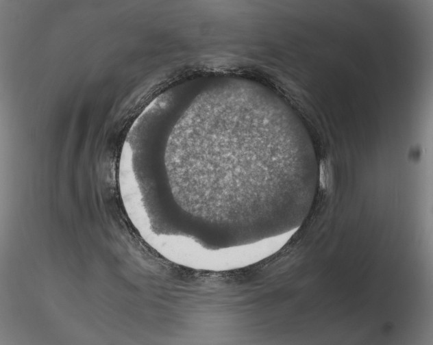 X0000115601155200912221140