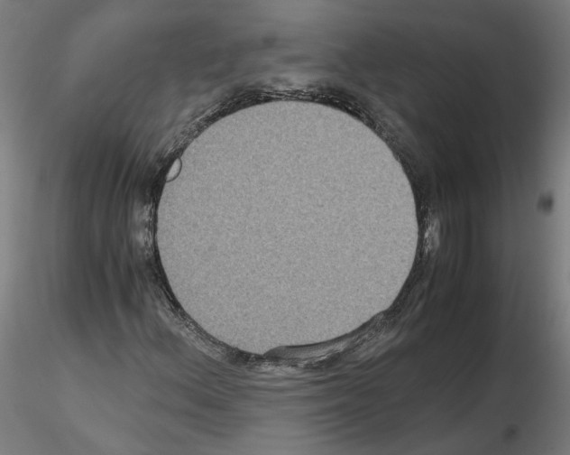 X0000115601156200912221140