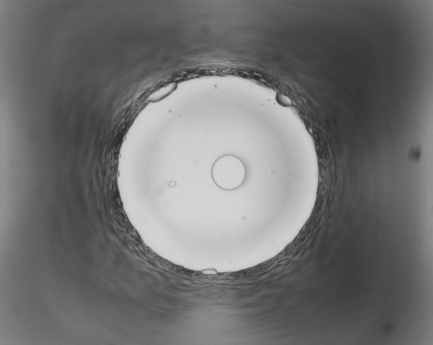 X0000115601157200912221140