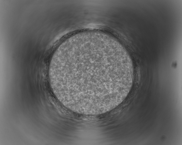 X0000115601158200912221140