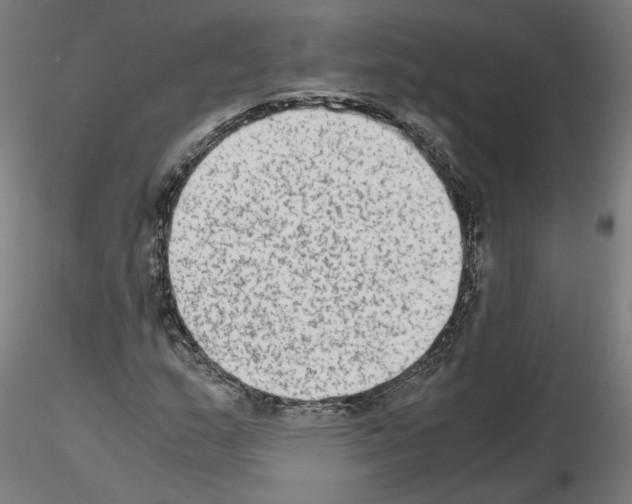 X0000115601159200912221140