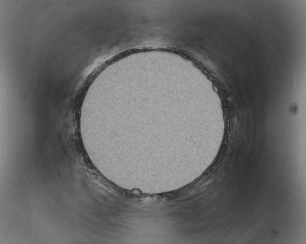 X0000115601160200912221140