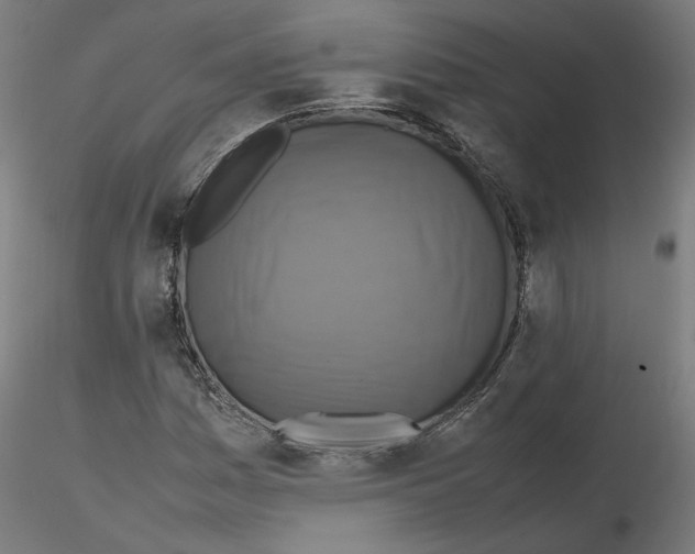 X0000115601161200912221140