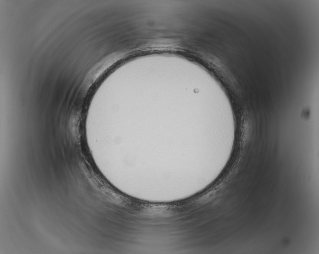 X0000115601162200912221140