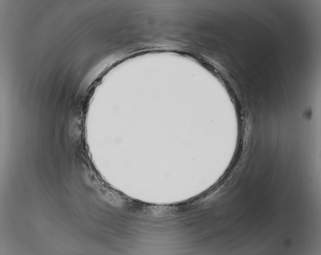 X0000115601163200912221140