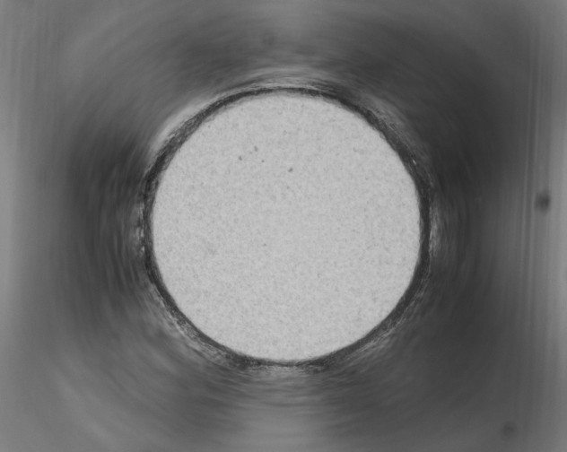 X0000115601164200912221140