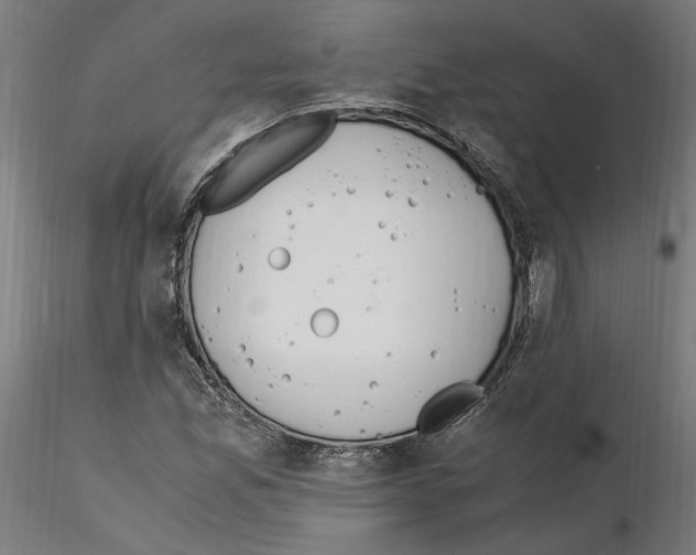 X0000115601165200912221140