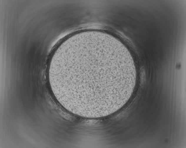 X0000115601166200912221140