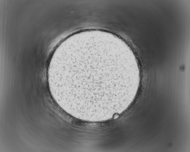 X0000115601167200912221140