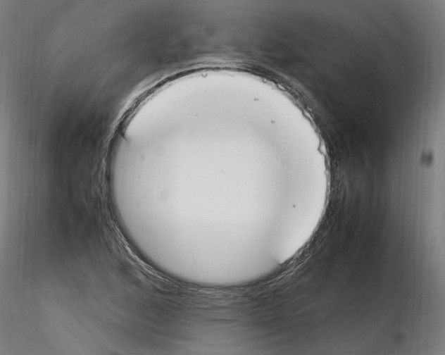 X0000115601168200912221140