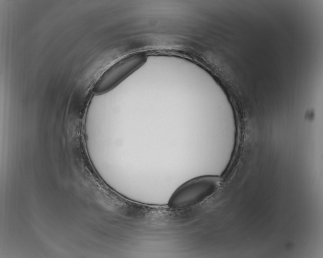 X0000115601169200912221140