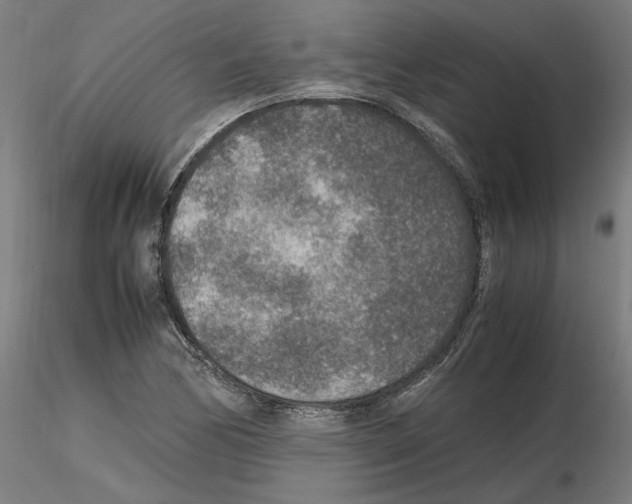 X0000115601170200912221140