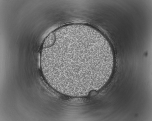 X0000115601171200912221140