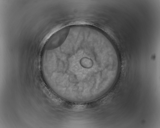 X0000115601173200912221140