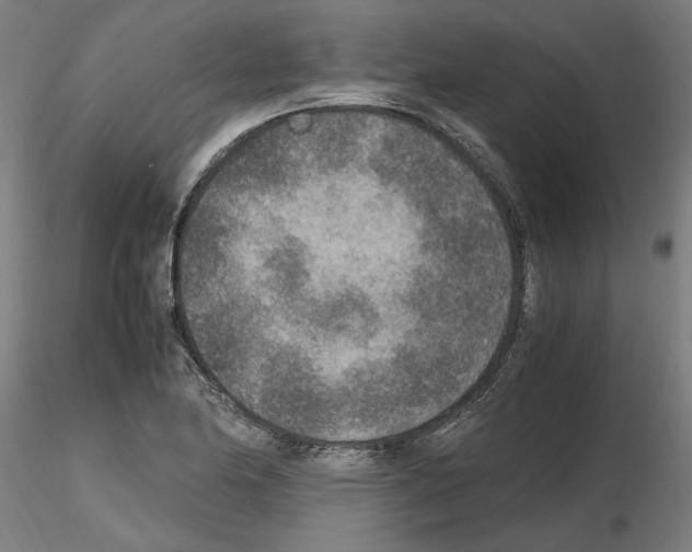 X0000115601174200912221140