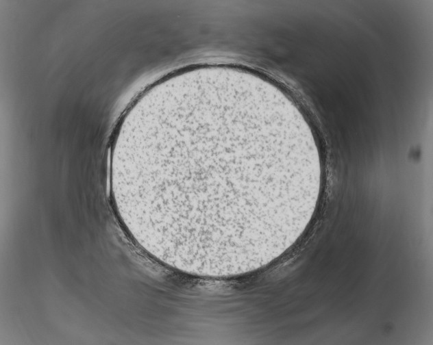 X0000115601175200912221140