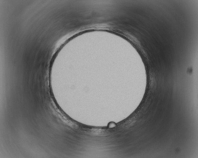 X0000115601176200912221140