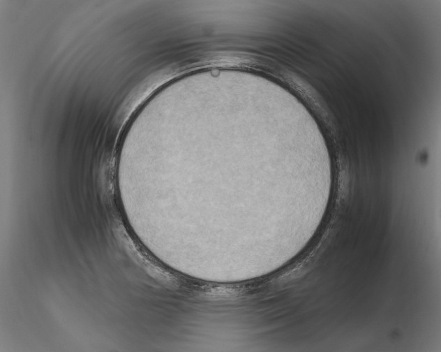 X0000115601178200912221140