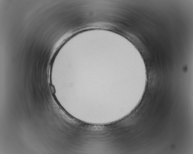 X0000115601180200912221140