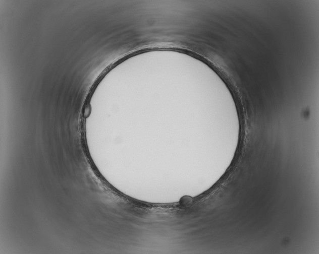 X0000115601181200912221140