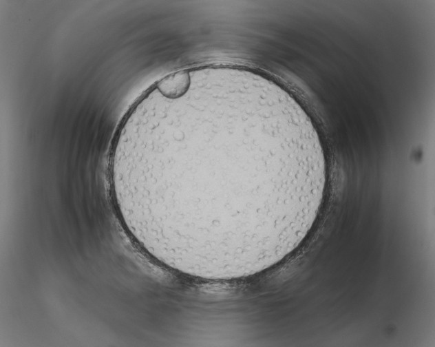 X0000115601182200912221140