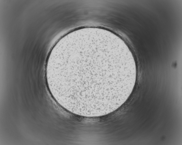 X0000115601183200912221140