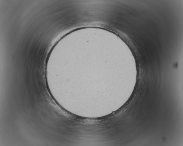 X0000115601184200912221140