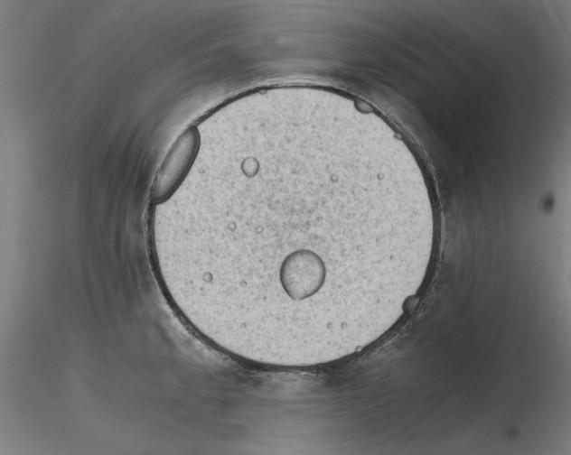 X0000115601189200912221140