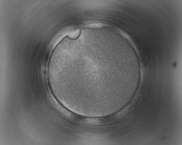 X0000115601194200912221140