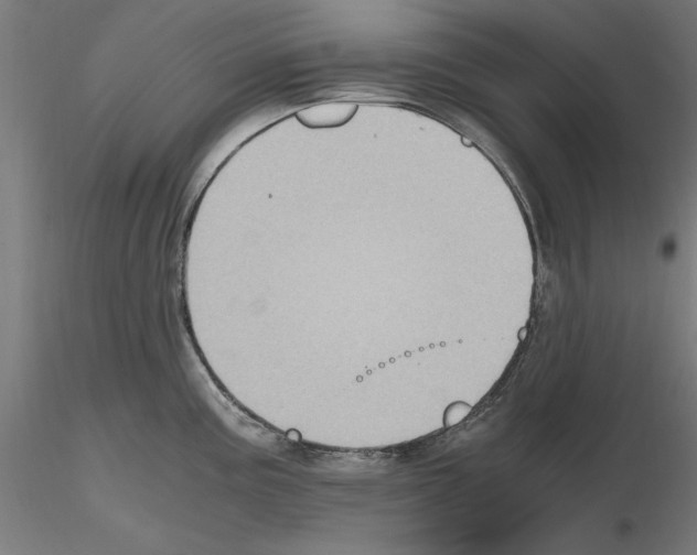 X0000115601195200912221140