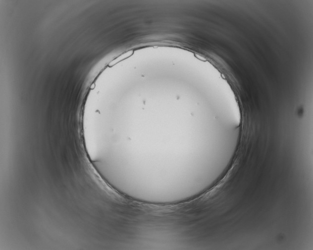 X0000115601196200912221140