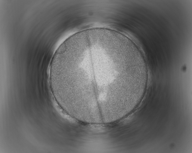 X0000115601198200912221139